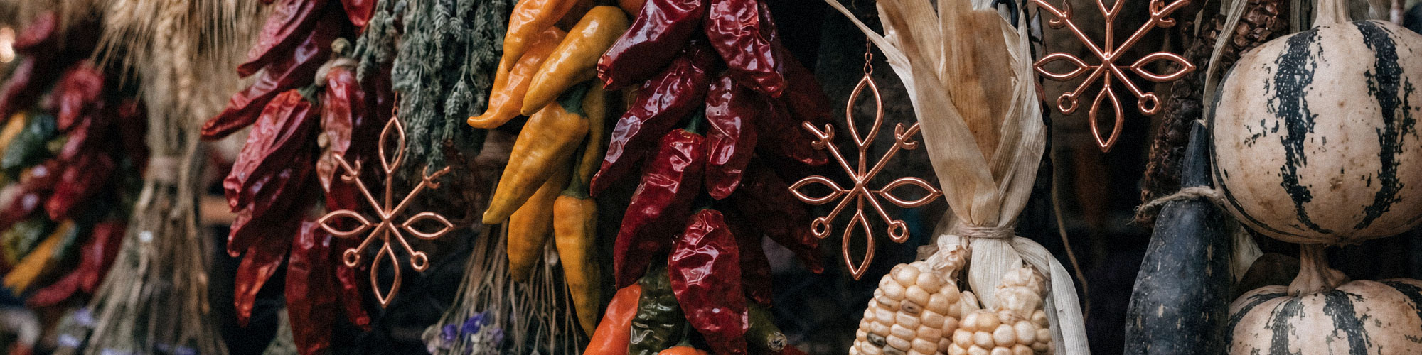 Sense Organica dried peppers and harvest ornament photo strip